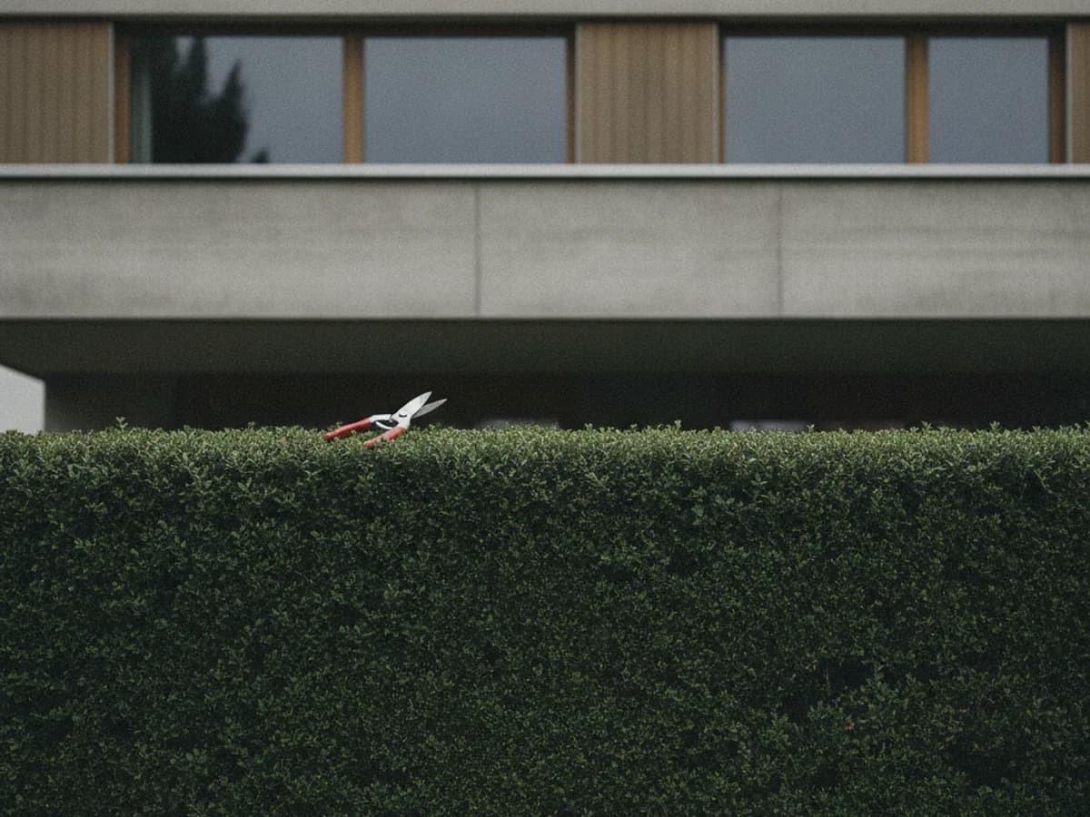 Frisch geschnittene Hecke vor einem Wohnhaus